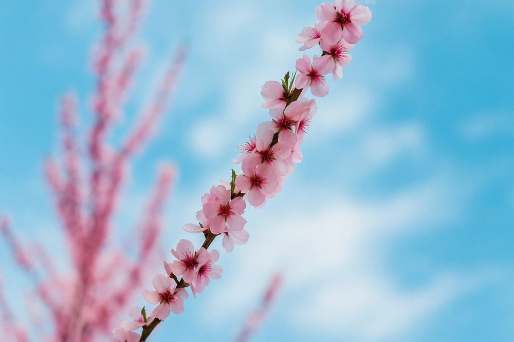 Photograph by Владимир Джерихов