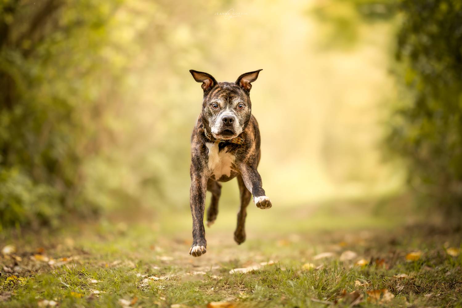 Фотография #12842837