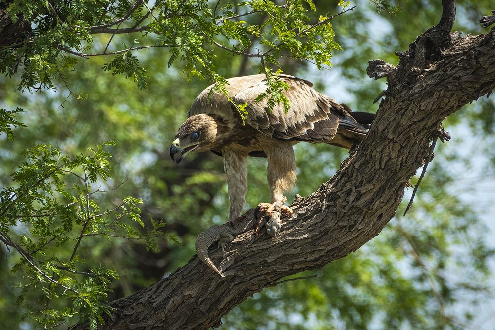 Photograph by Rahuldeb Bhattacharya