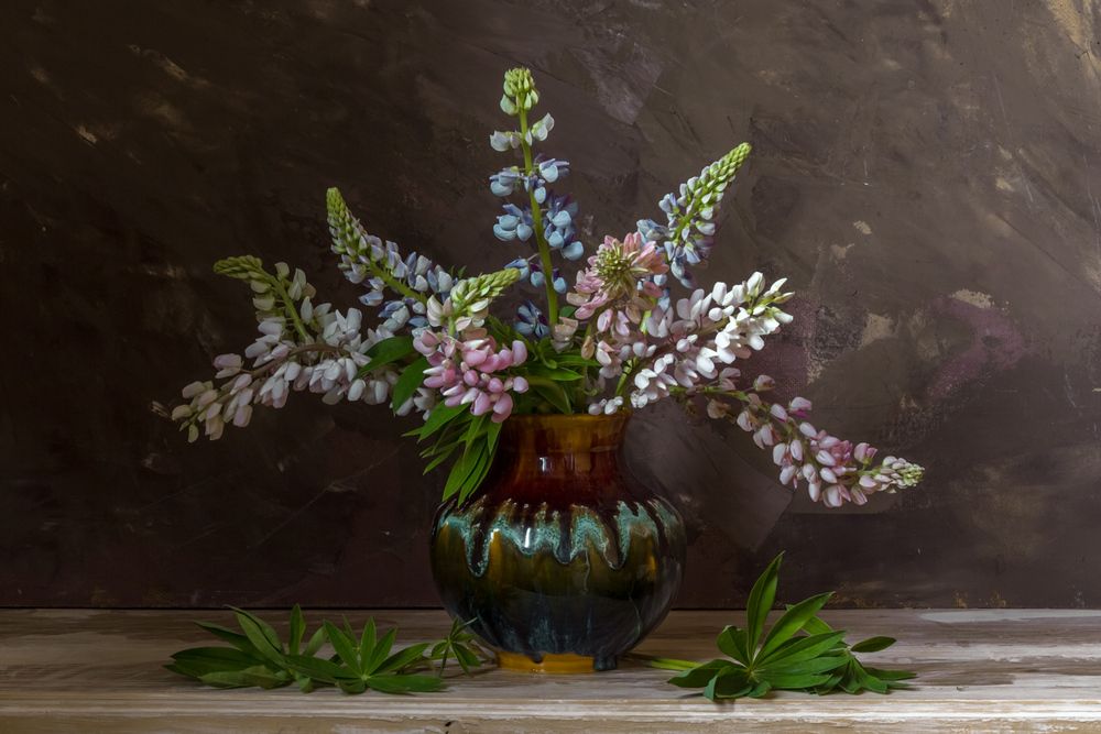 Photograph by Алексеев Сергей