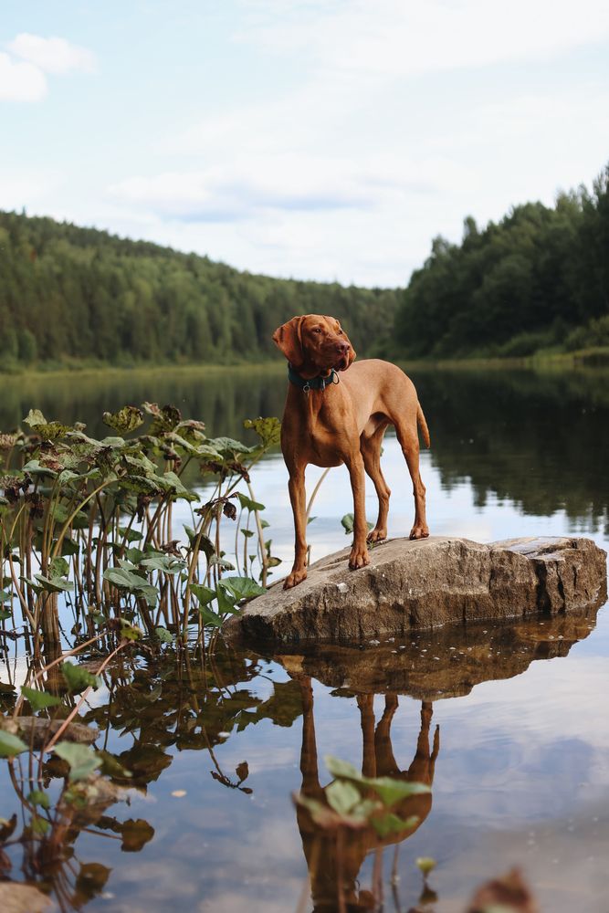 Photograph by Татьяна