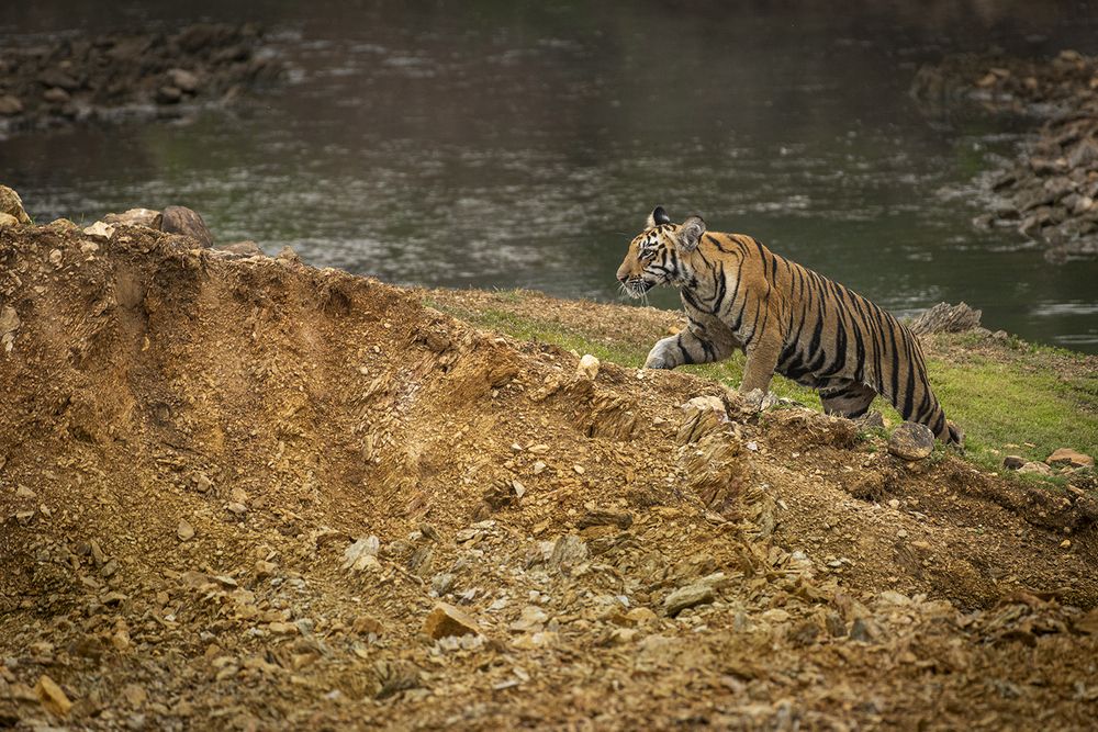 Photograph by Rahuldeb Bhattacharya