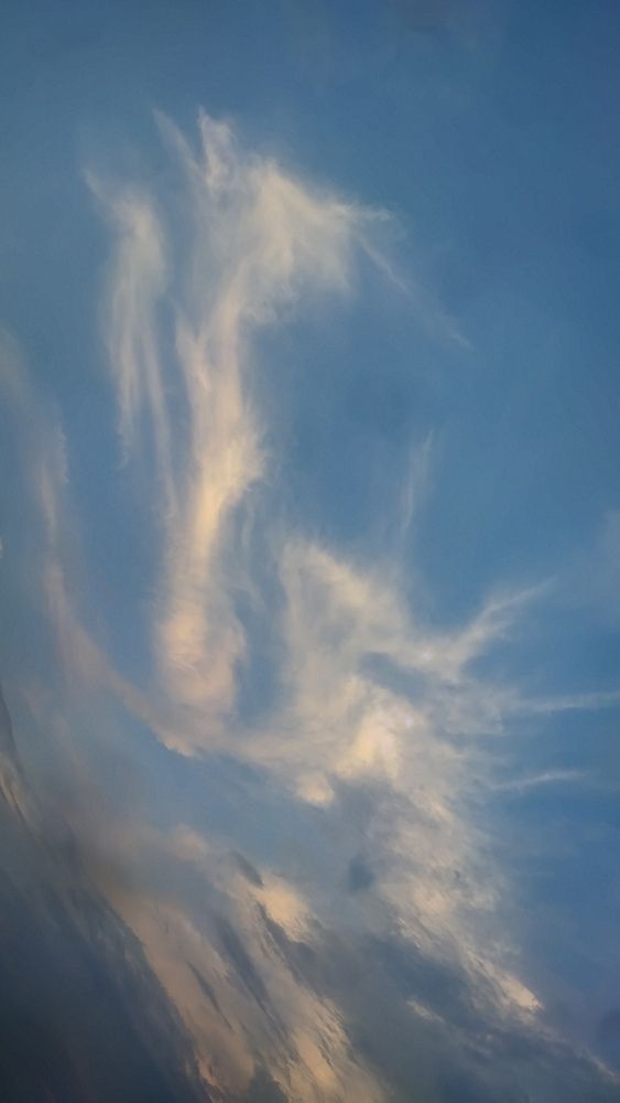 Photo #12842935