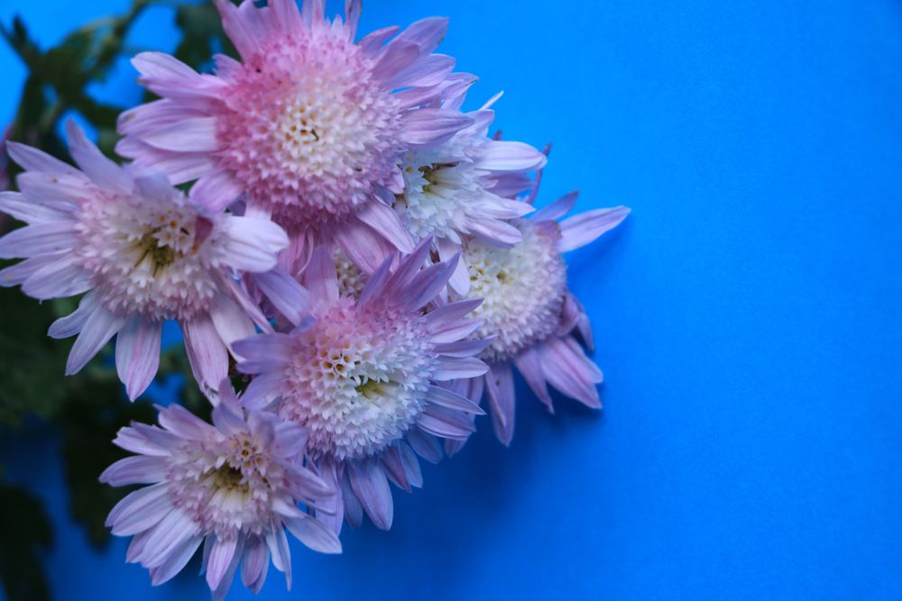 Photograph by Cengiz Yalcin