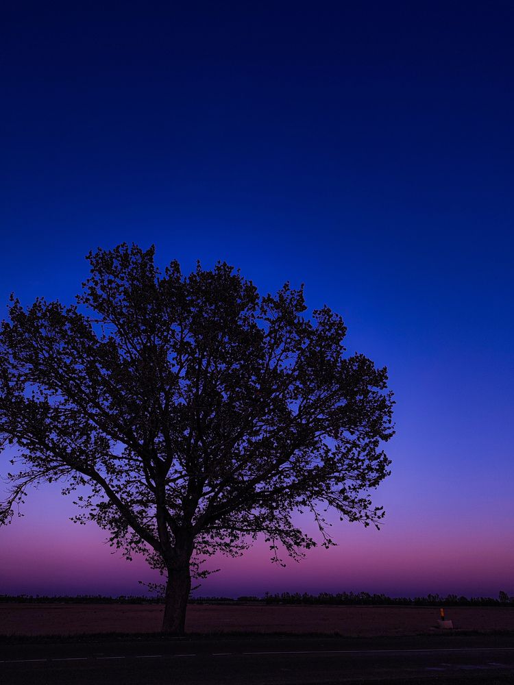 Photograph by Татьяна