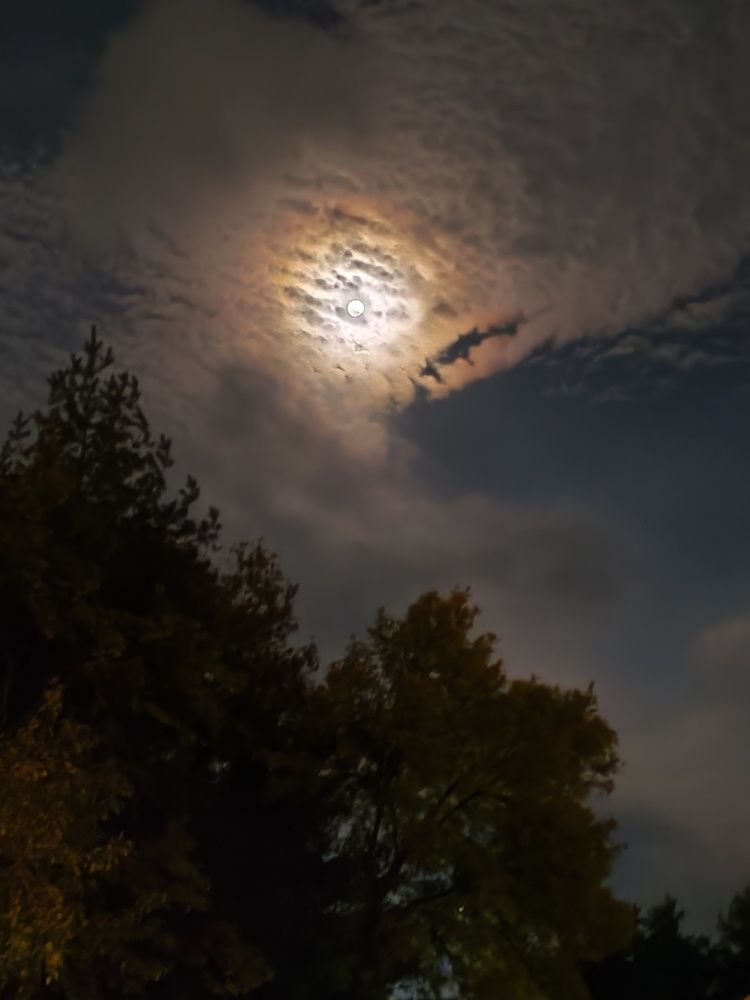 Photograph by Lena Semenova