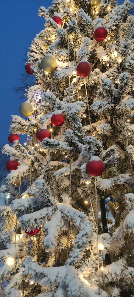 Photograph by Lena Semenova