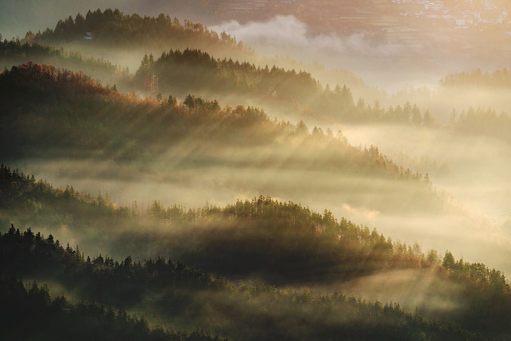 Photograph by Александър Александров