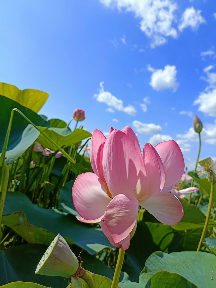 Фотография автора Татьяна Антонова