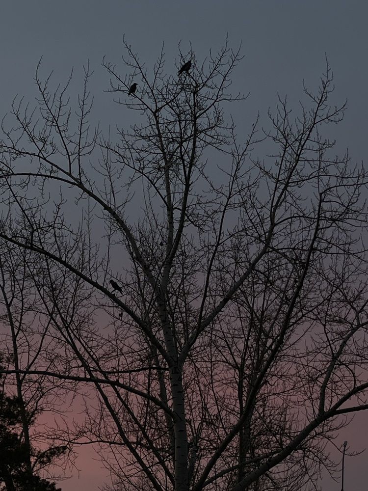 Photograph by Динара Dinara