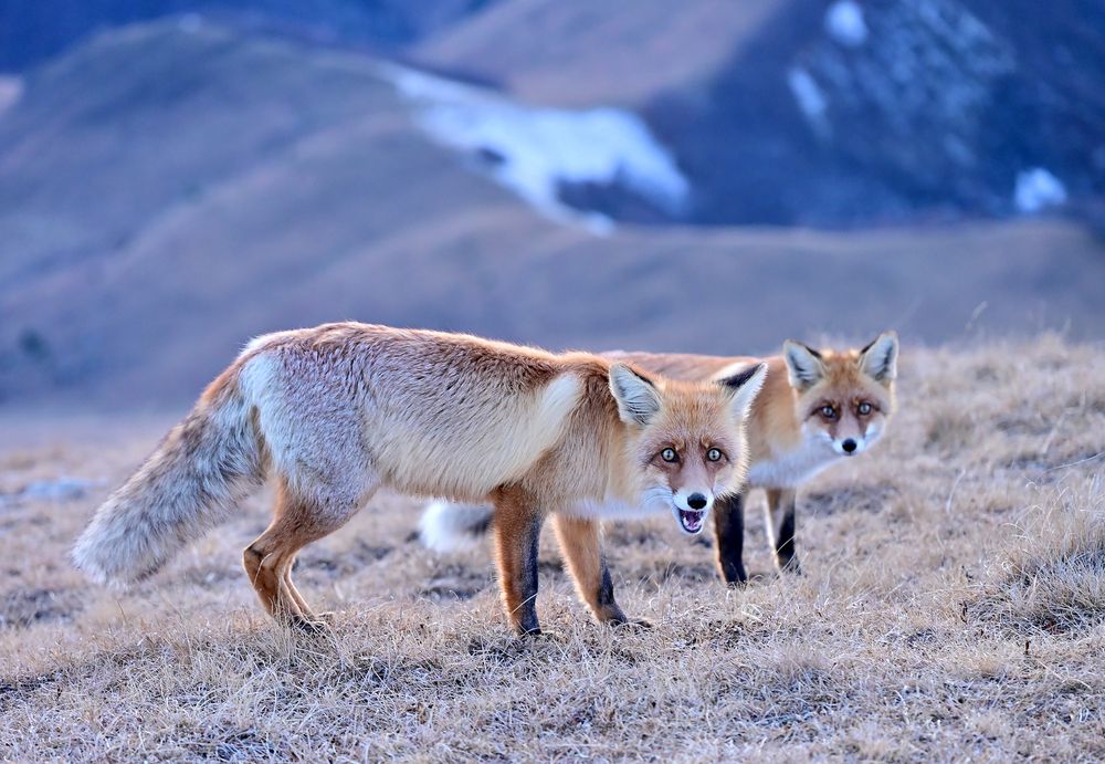 Фотография автора Сергей Сынтин