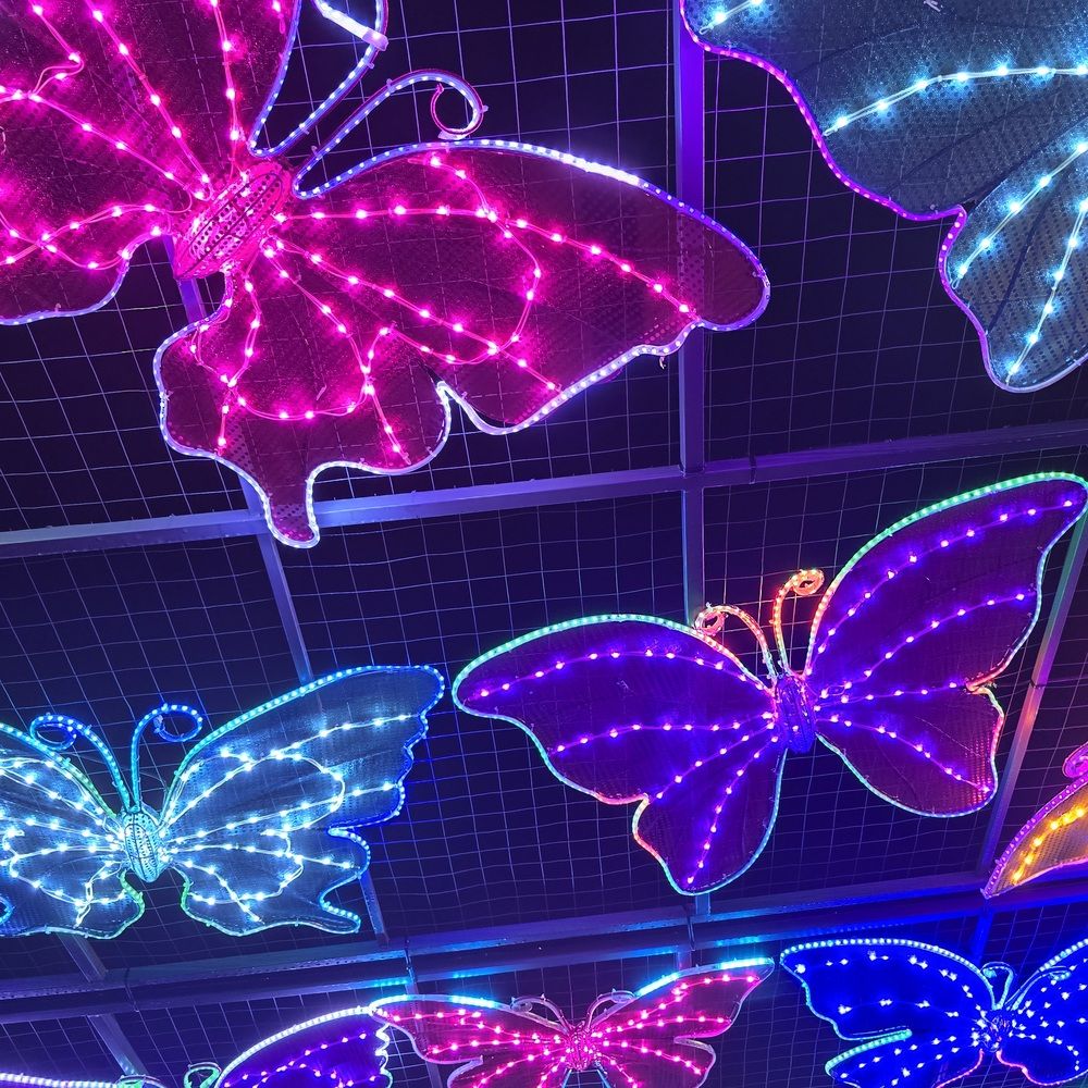 Photograph by Yulia Rotbach