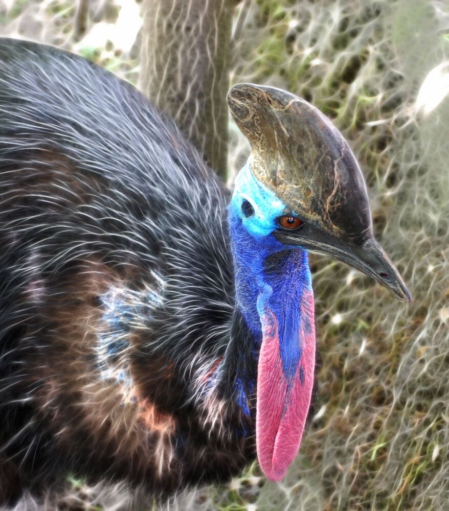 Photograph by Владимир Арбесман