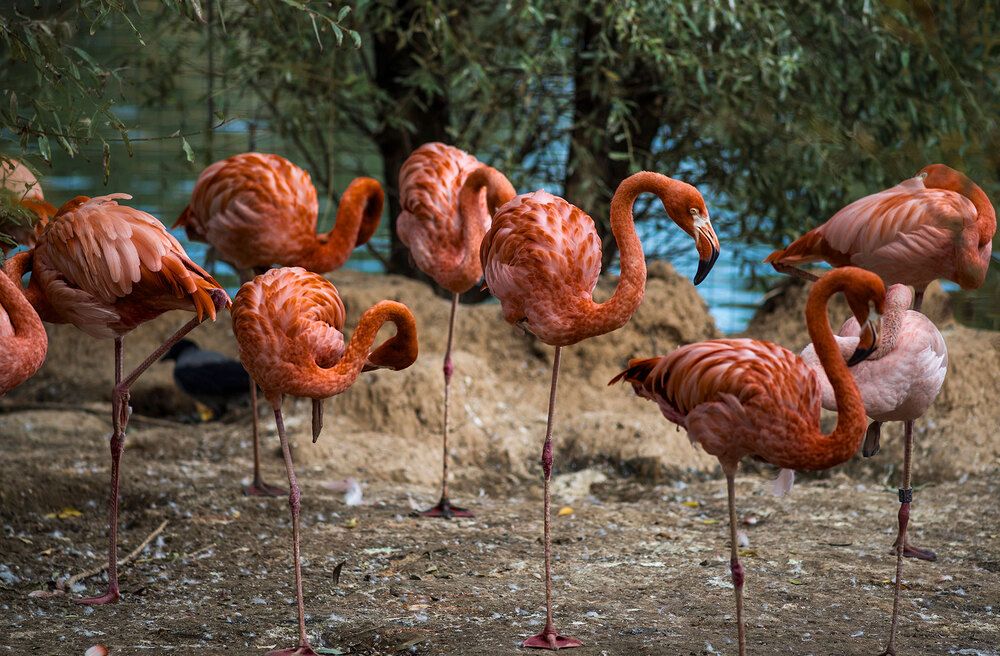 Photograph by Владимир Арбесман