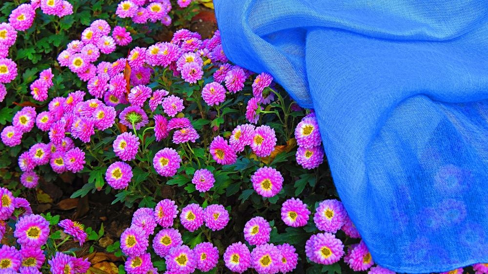 Photograph by Фартушняк Сергей