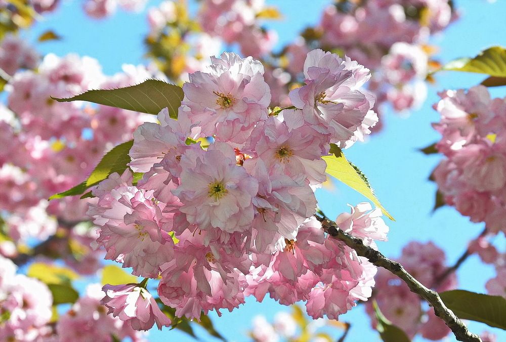 Фотография автора ВЛАДИМИР Тертышник
