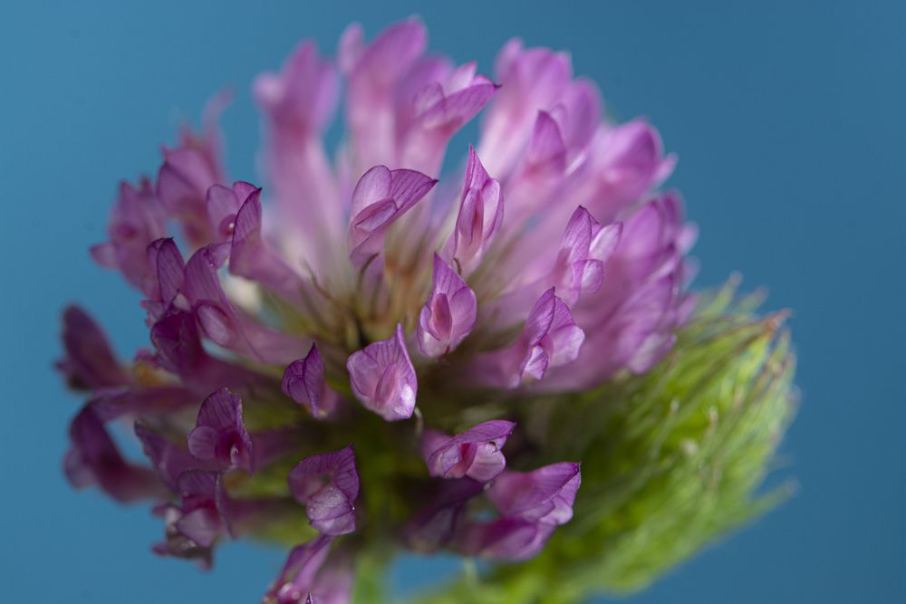 Photograph by Игорь Смирнов