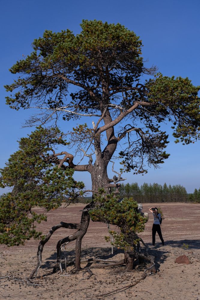 Photograph by EVGENY FADIN