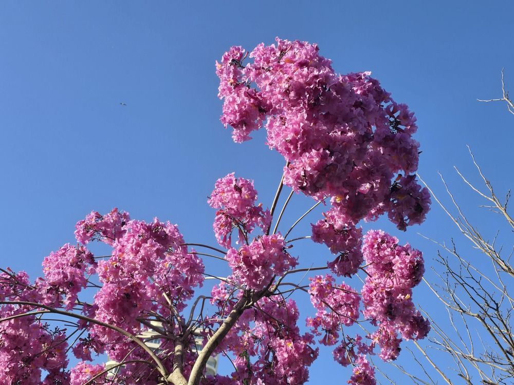 Photograph by Yulia Rotbach