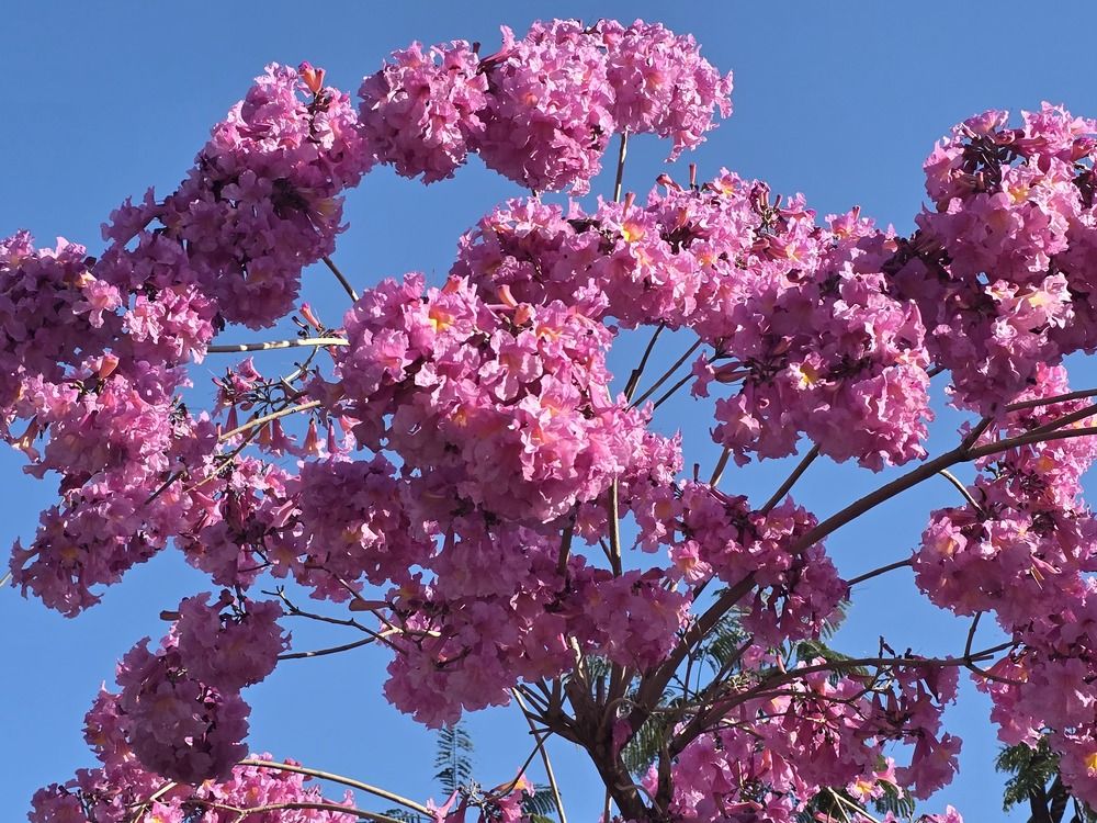 Photograph by Yulia Rotbach