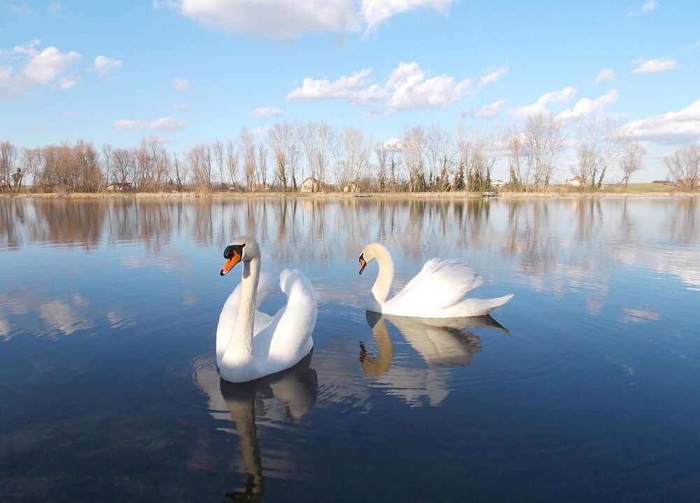Photograph by Любовь Войводич
