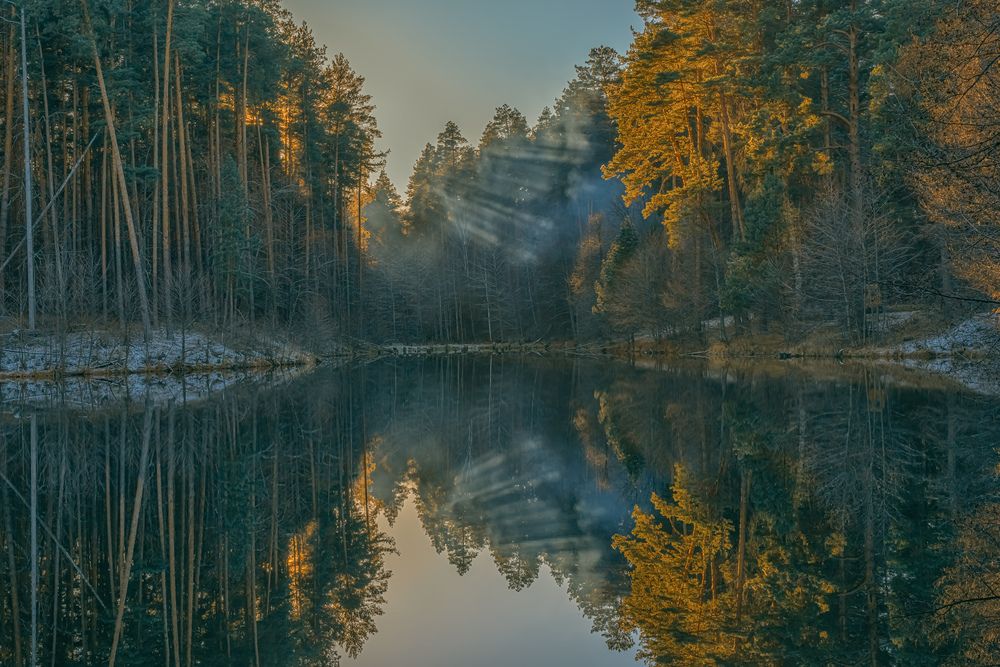 Фотография автора Лазарев Сергей