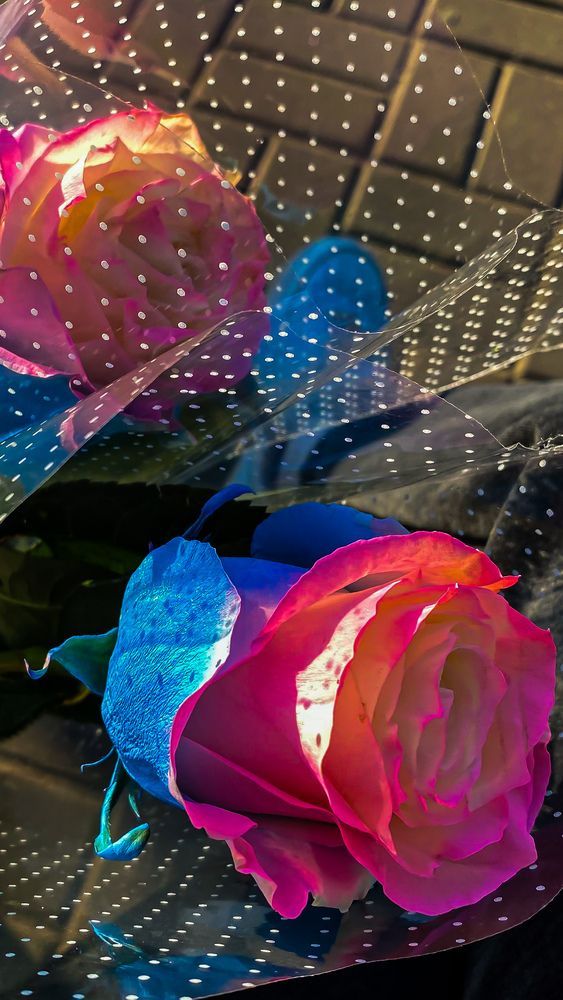 Photograph by Руслана Ковалевская