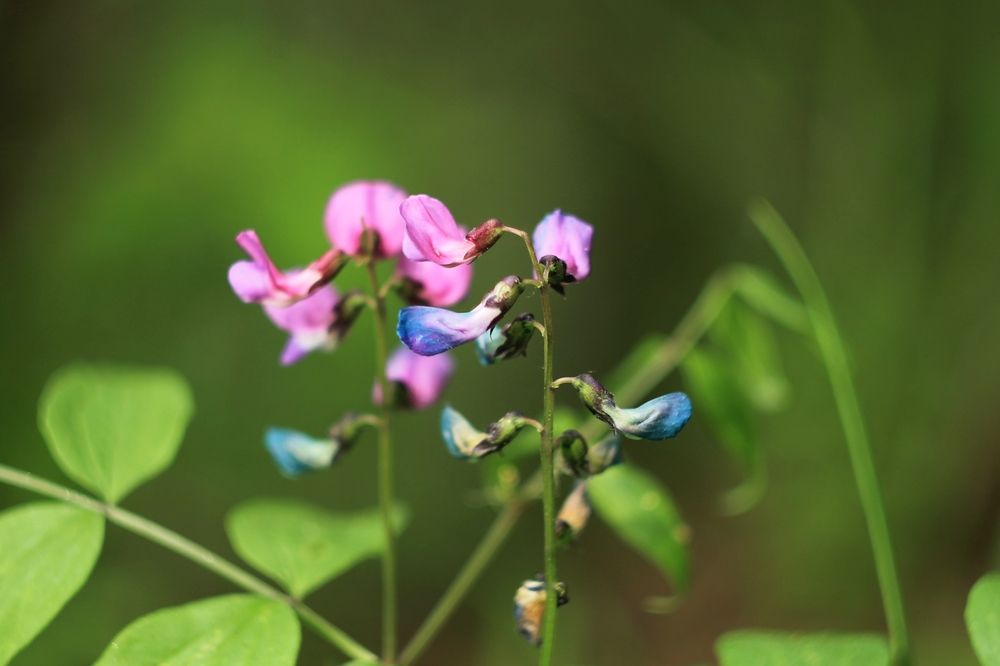 Photograph by Антон Иванов