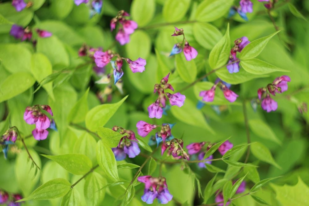 Photograph by Антон Иванов