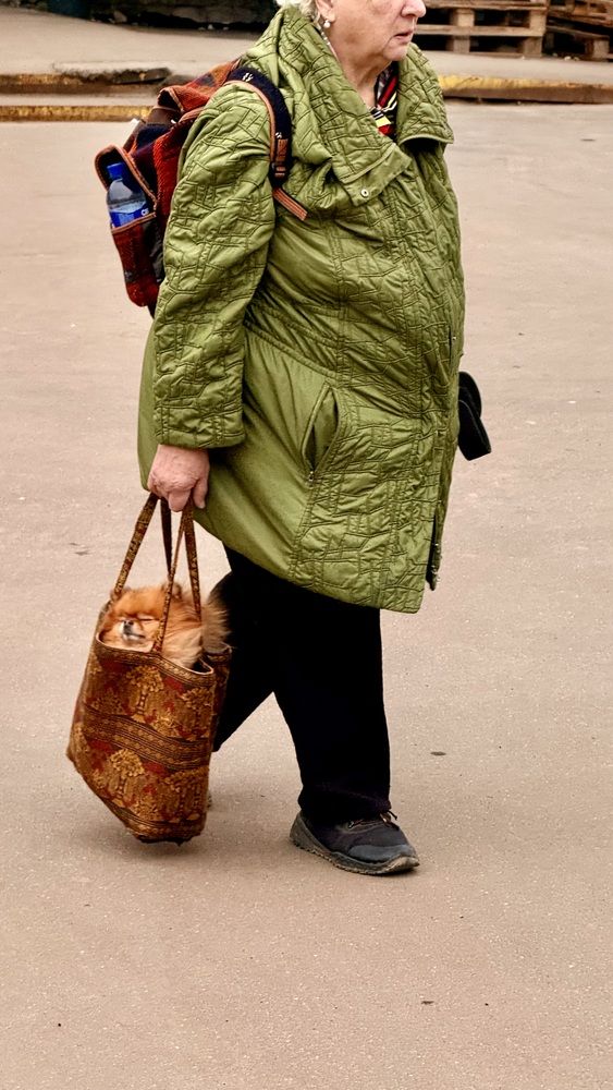 Фотография автора Дмитрий Самойлов