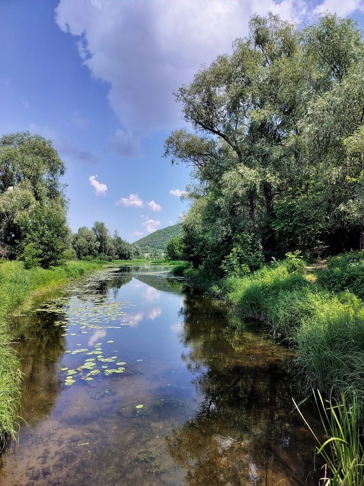 Прозрачная вода