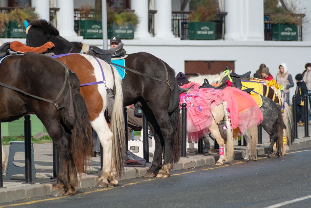 Photograph by Максим Жухлистов