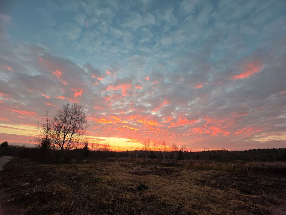 Фотография автора Анна Хмелькова