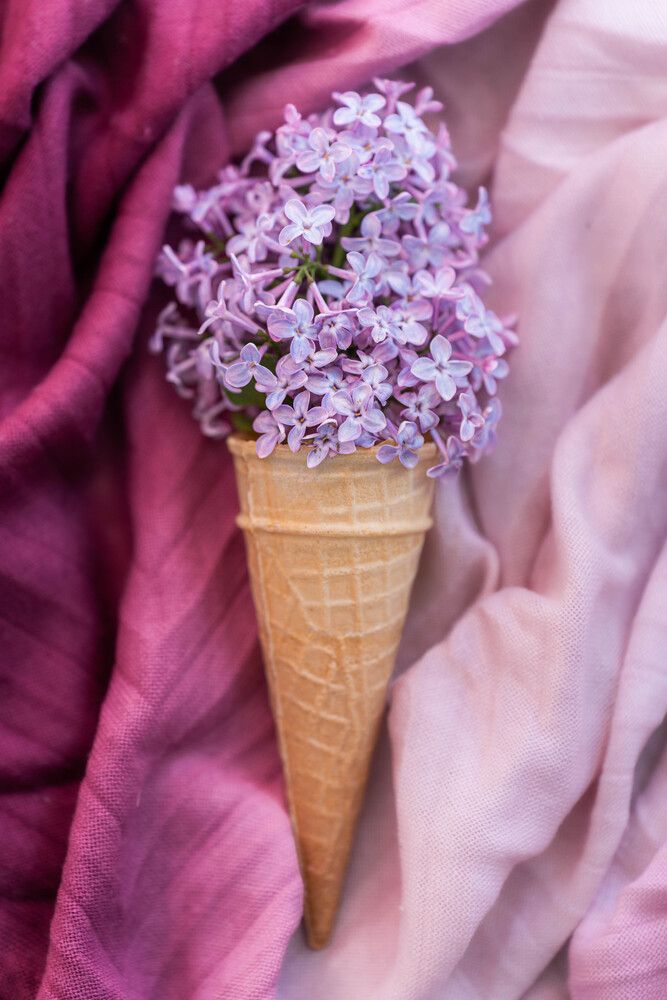 Photograph by Marija Kordić