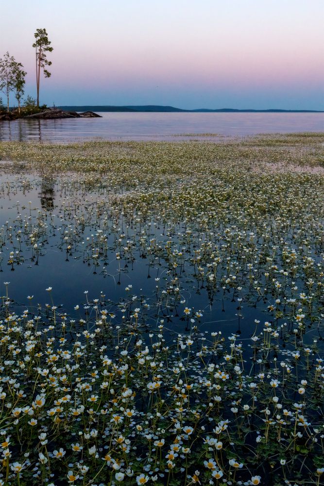 Photograph by Елена Михайлова