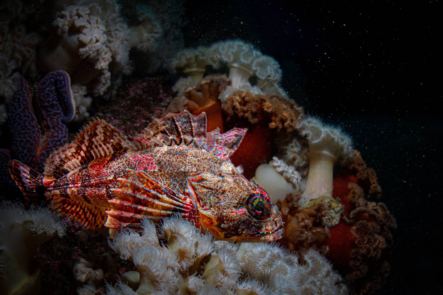 Фотография #12843937