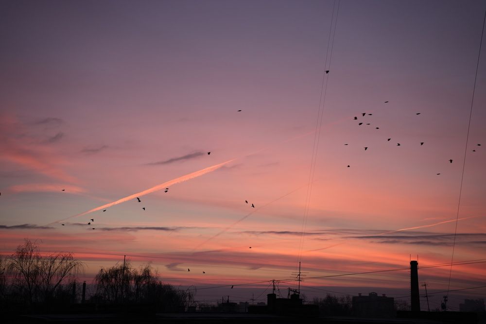 Photograph by Арина Арчакова