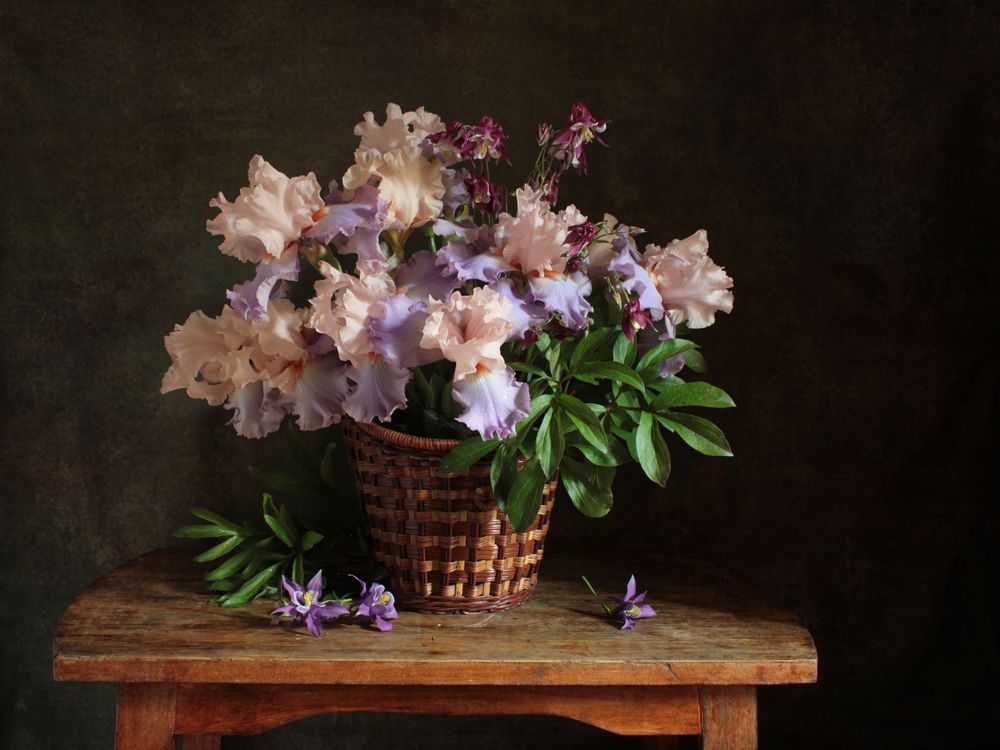 Фотография автора Ганина Галина