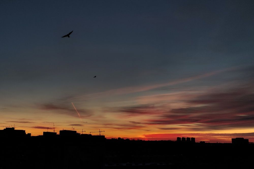 Photograph by Калюнова Наталья