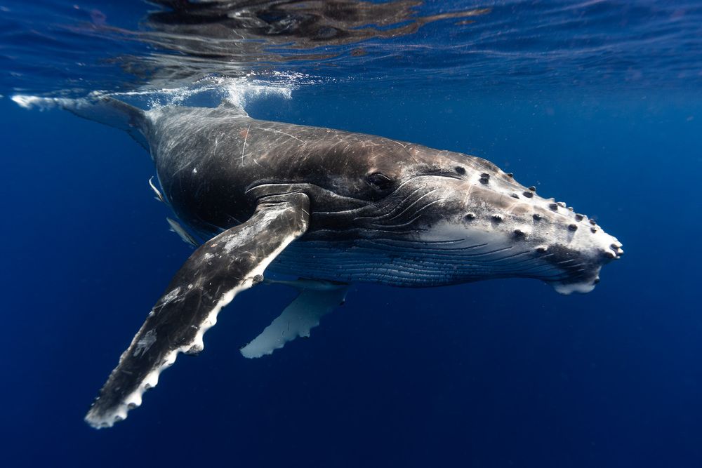 Photograph by ARMANDO OQUENDO PARILLI