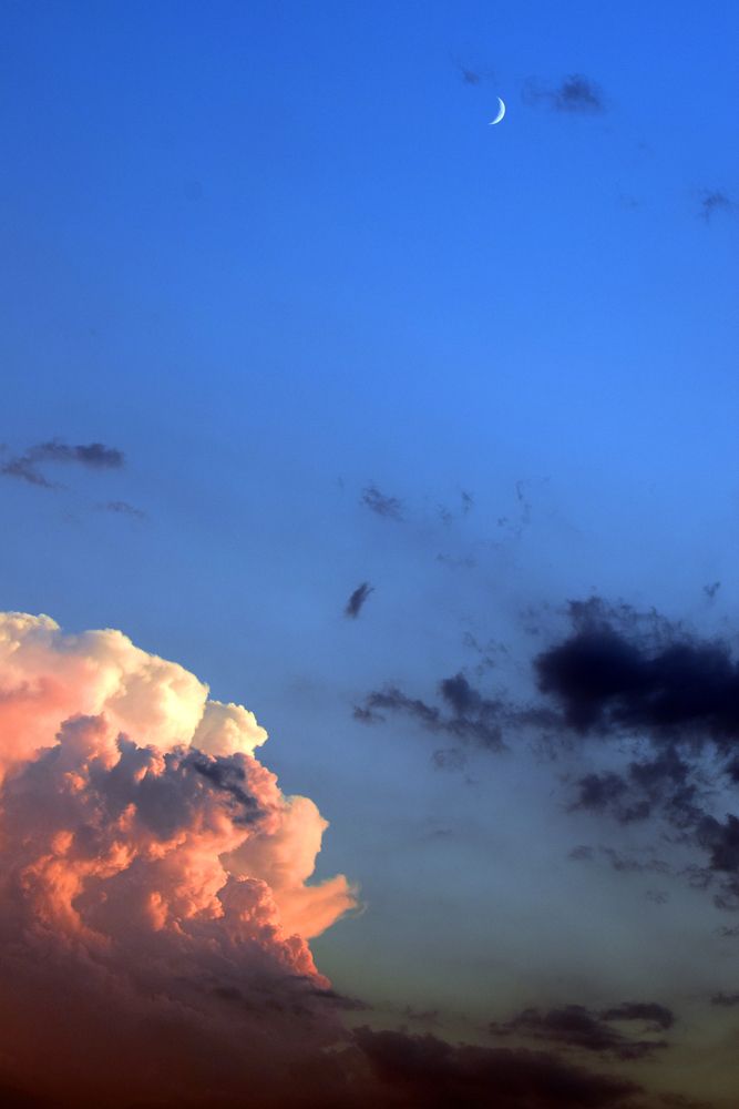 Фотография автора Маис Киракозов