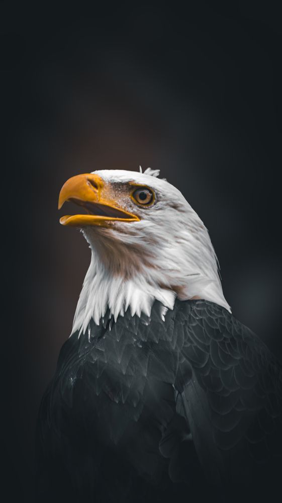 Photograph by Даниил Сырбу