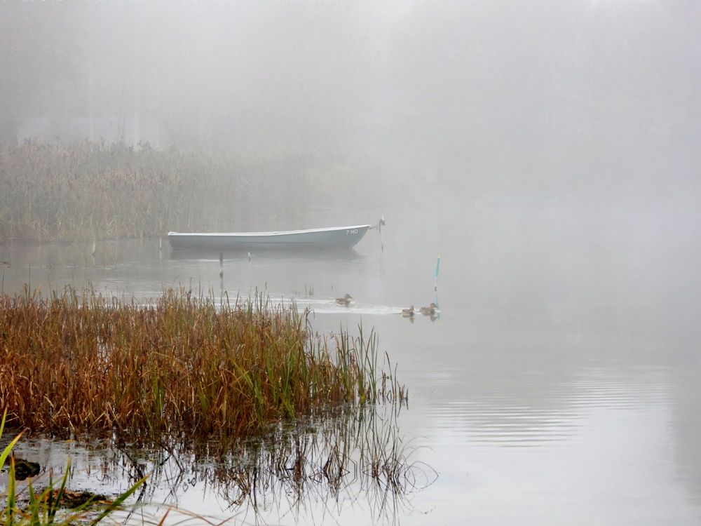 Photograph by Александр Шаварин