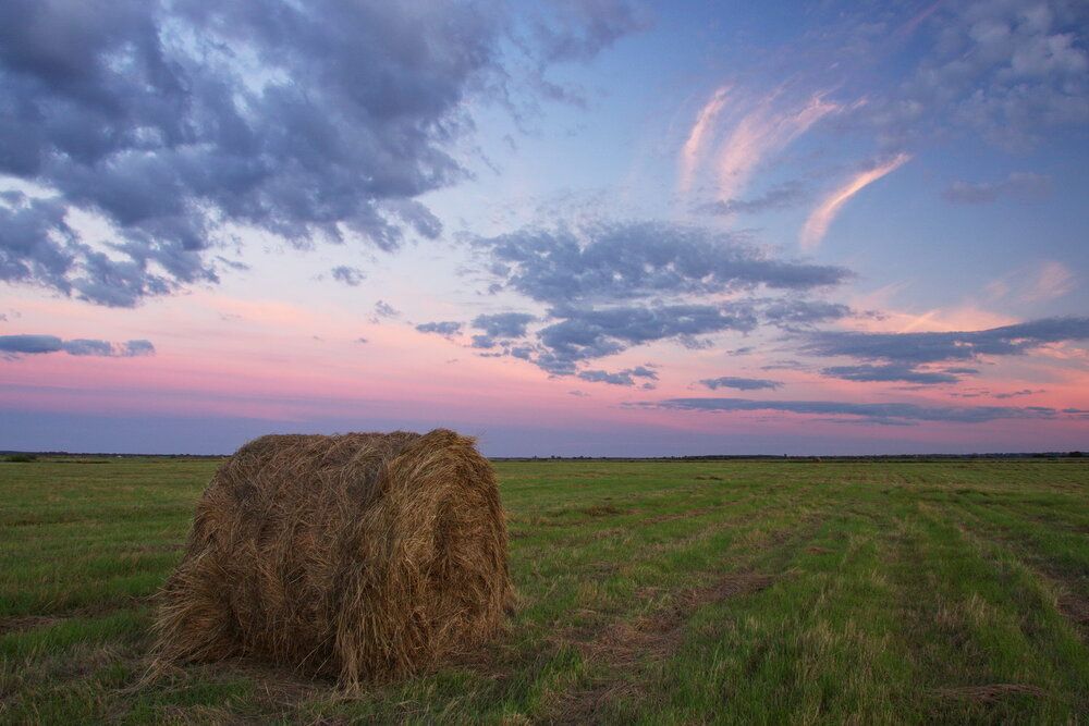 Photograph by Елена