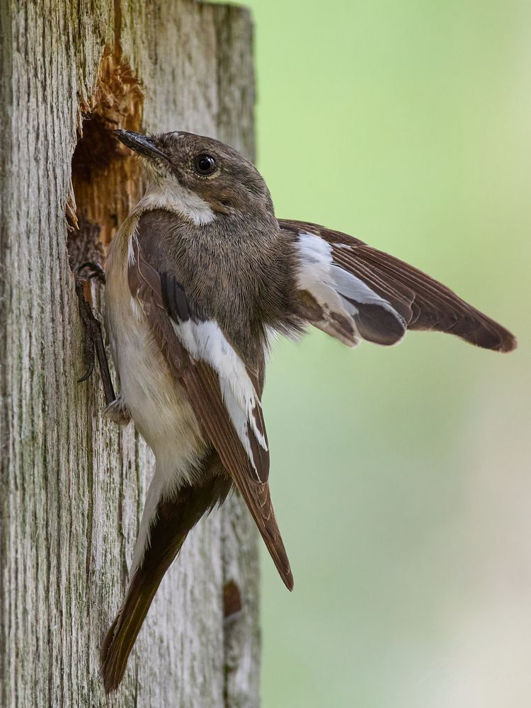 Photograph by Полина Шальнева