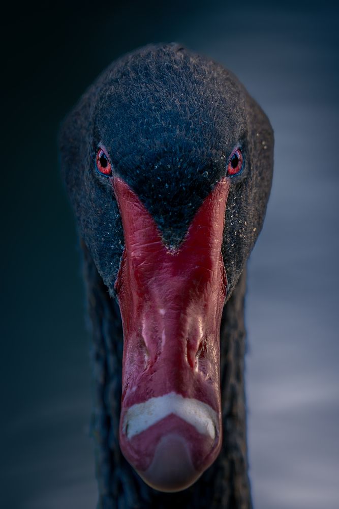 Photograph by David Garcia Gonzalez