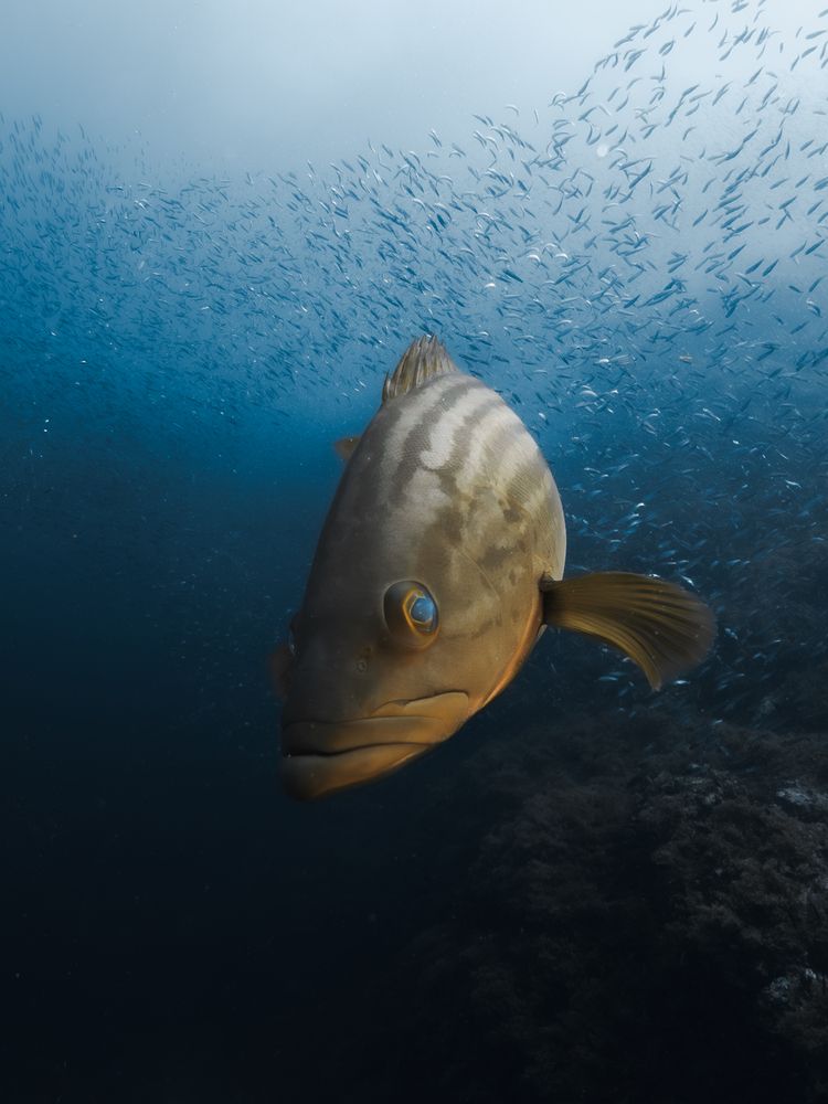 Фотография автора David Garcia Gonzalez