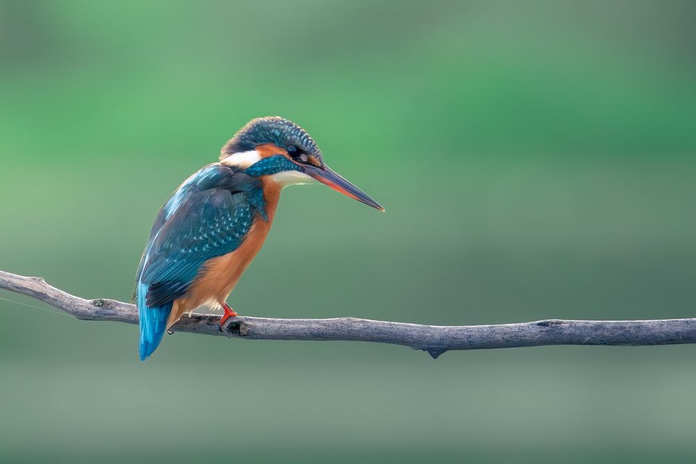 Photograph by David Garcia Gonzalez