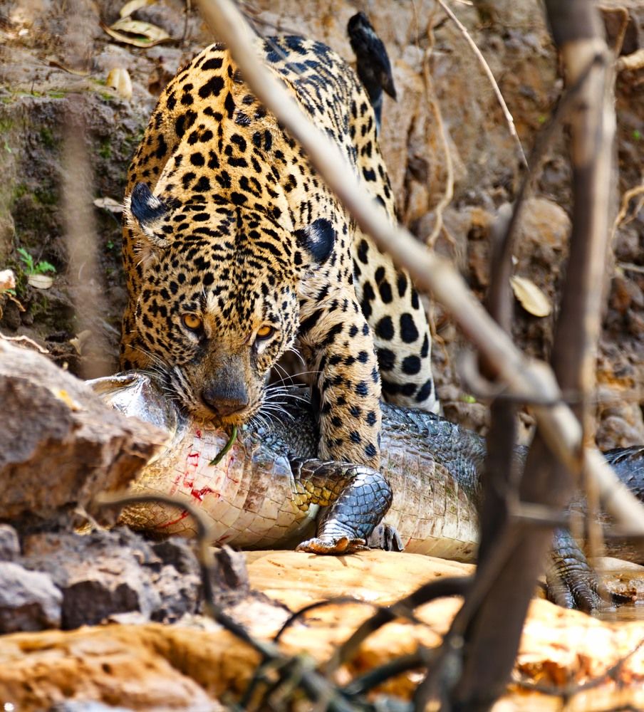 Photograph by Игорь Щербаков