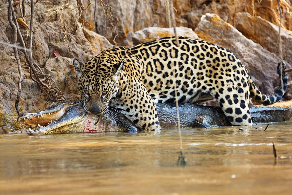 Photograph by Игорь Щербаков